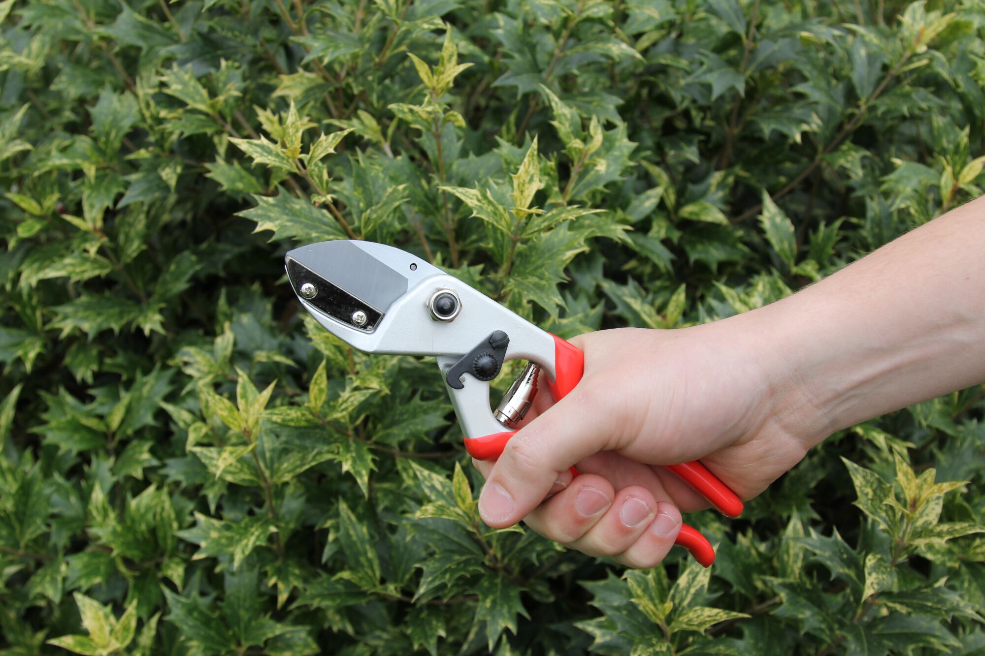 K-0900 - Pruning shears - Keizerskroon Metallo