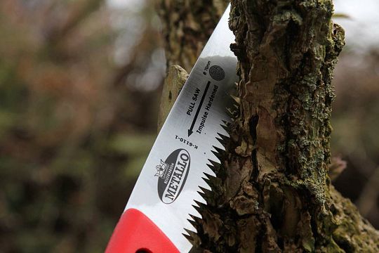 Pruning saws